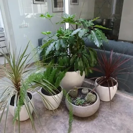 Pool House Semesterbostad *